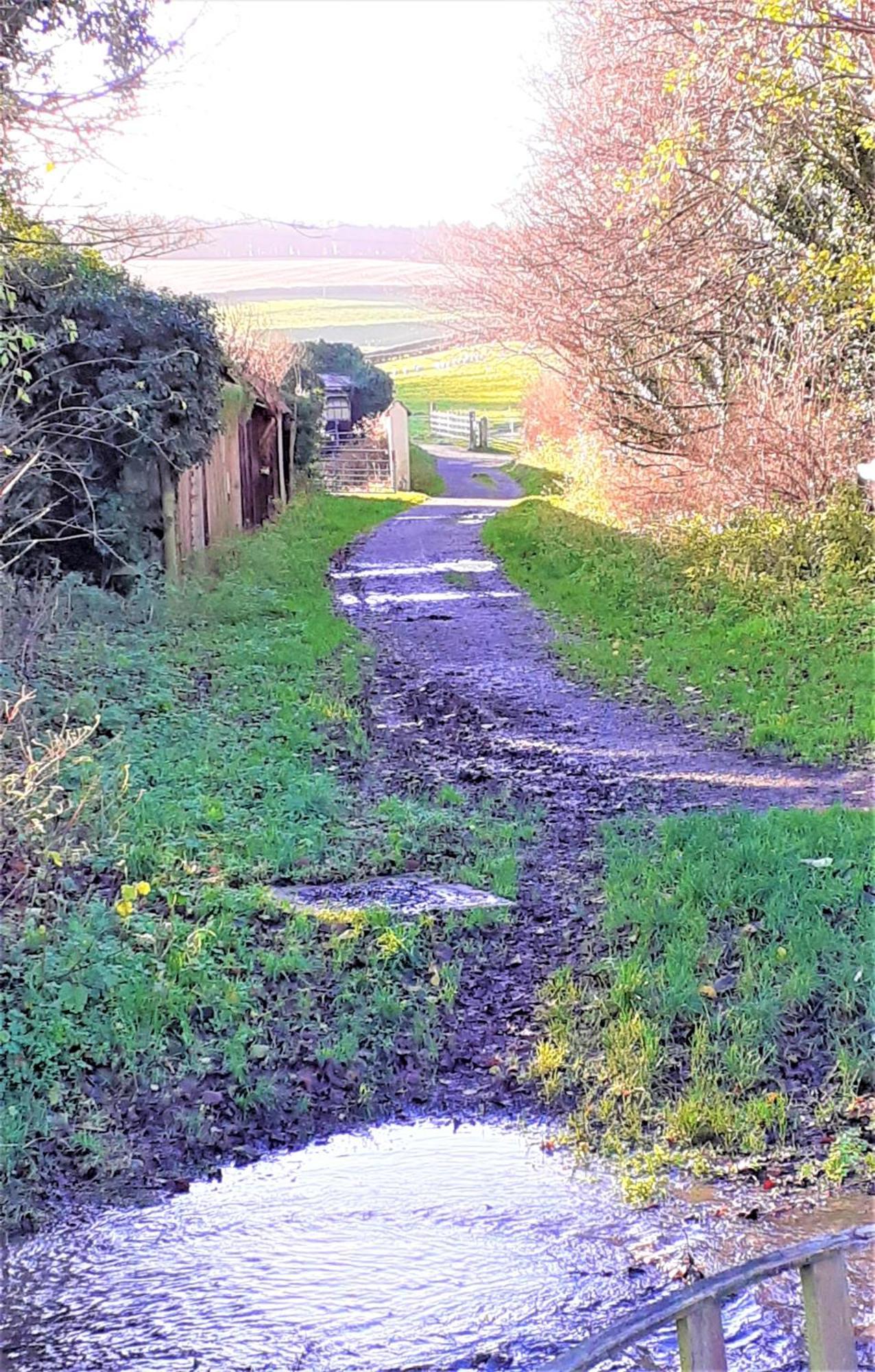 Escape The Ordinary - Piddle Inn The Home Private Self Cater Holiday Dorchester Esterno foto