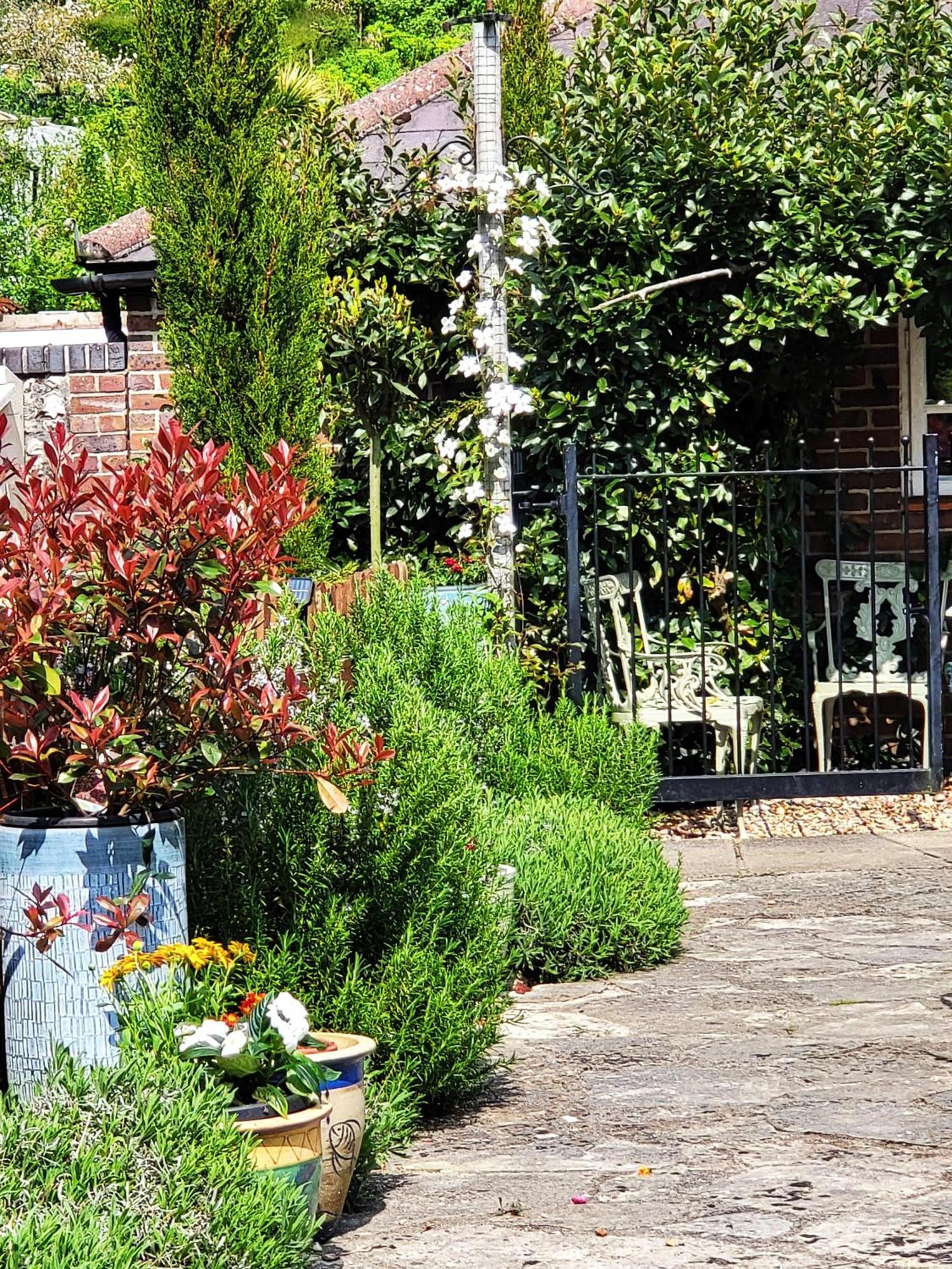Escape The Ordinary - Piddle Inn The Home Private Self Cater Holiday Dorchester Esterno foto